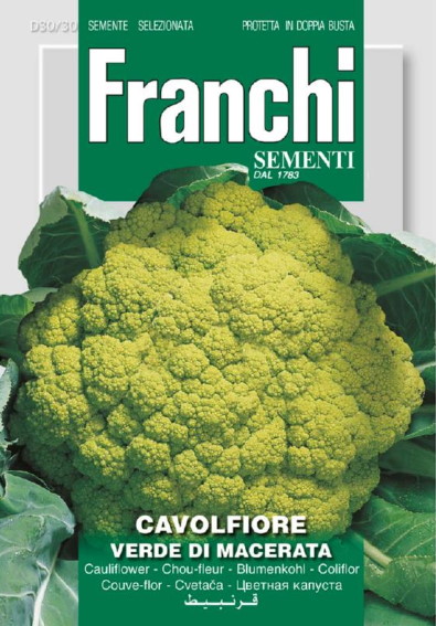Cauliflower Verde de Macerata (Brassica) 1200 seeds FR